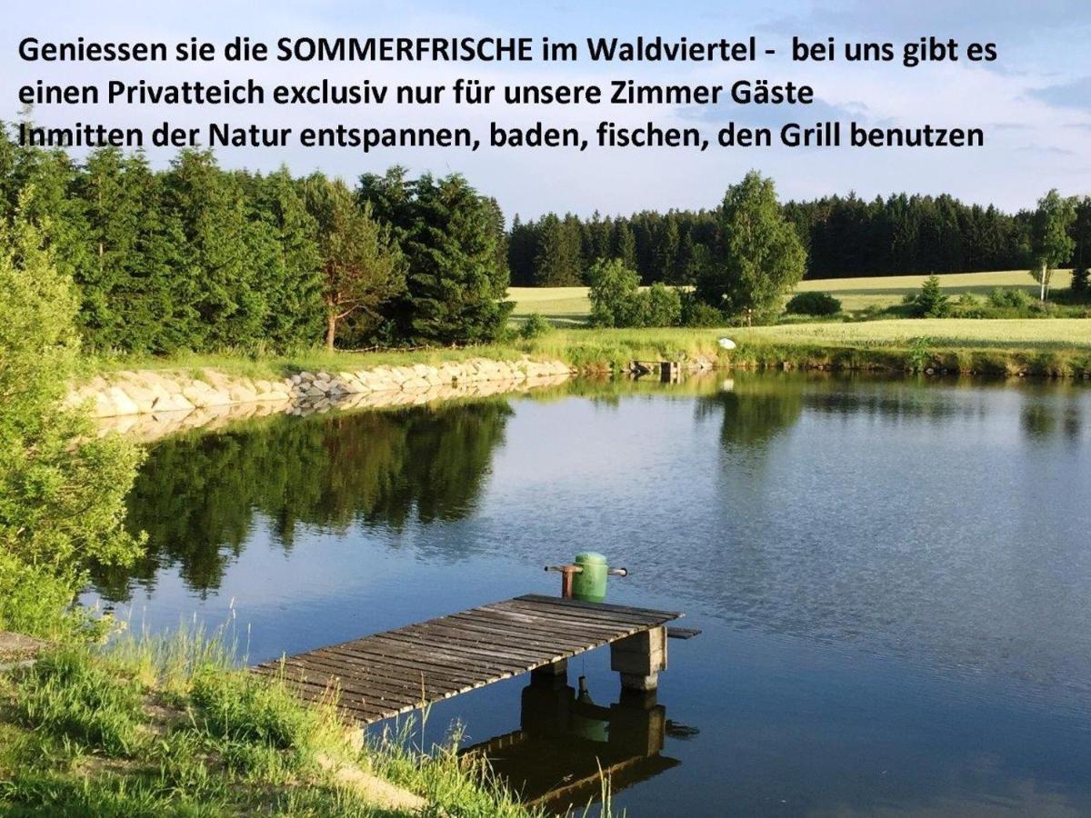 Sommerfrische Waldviertel Kirchberg am Walde Exterior photo
